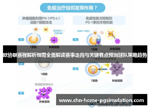 欧协联赛程解析指南全面解读赛事走向与关键看点预测球队策略趋势